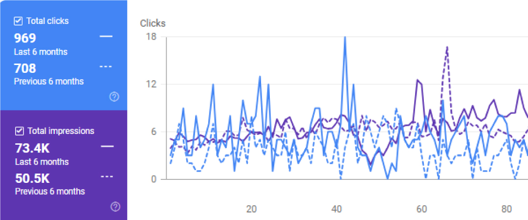 Ecommerce SEO Result