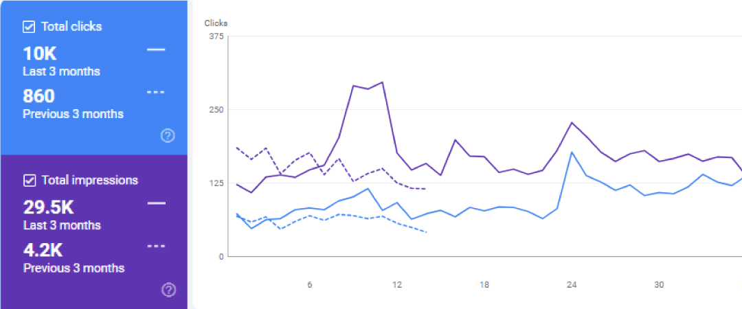 Healthcare SEO Result